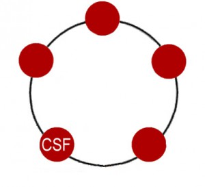 5ivf-CSF